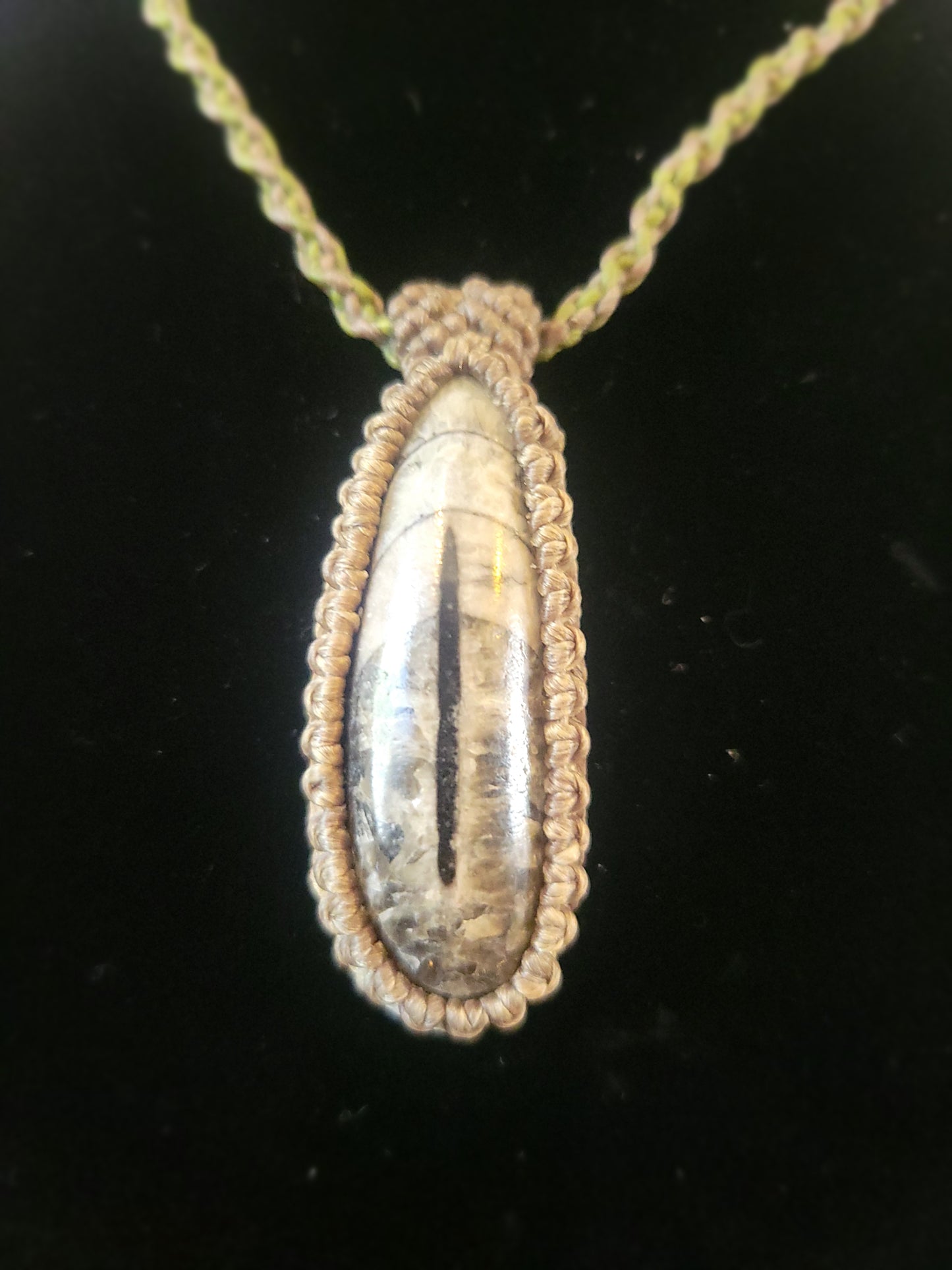 Orthoceras Fossil Necklace – Army Green Micromacrame Wrap, Adjustable Unisex Cord