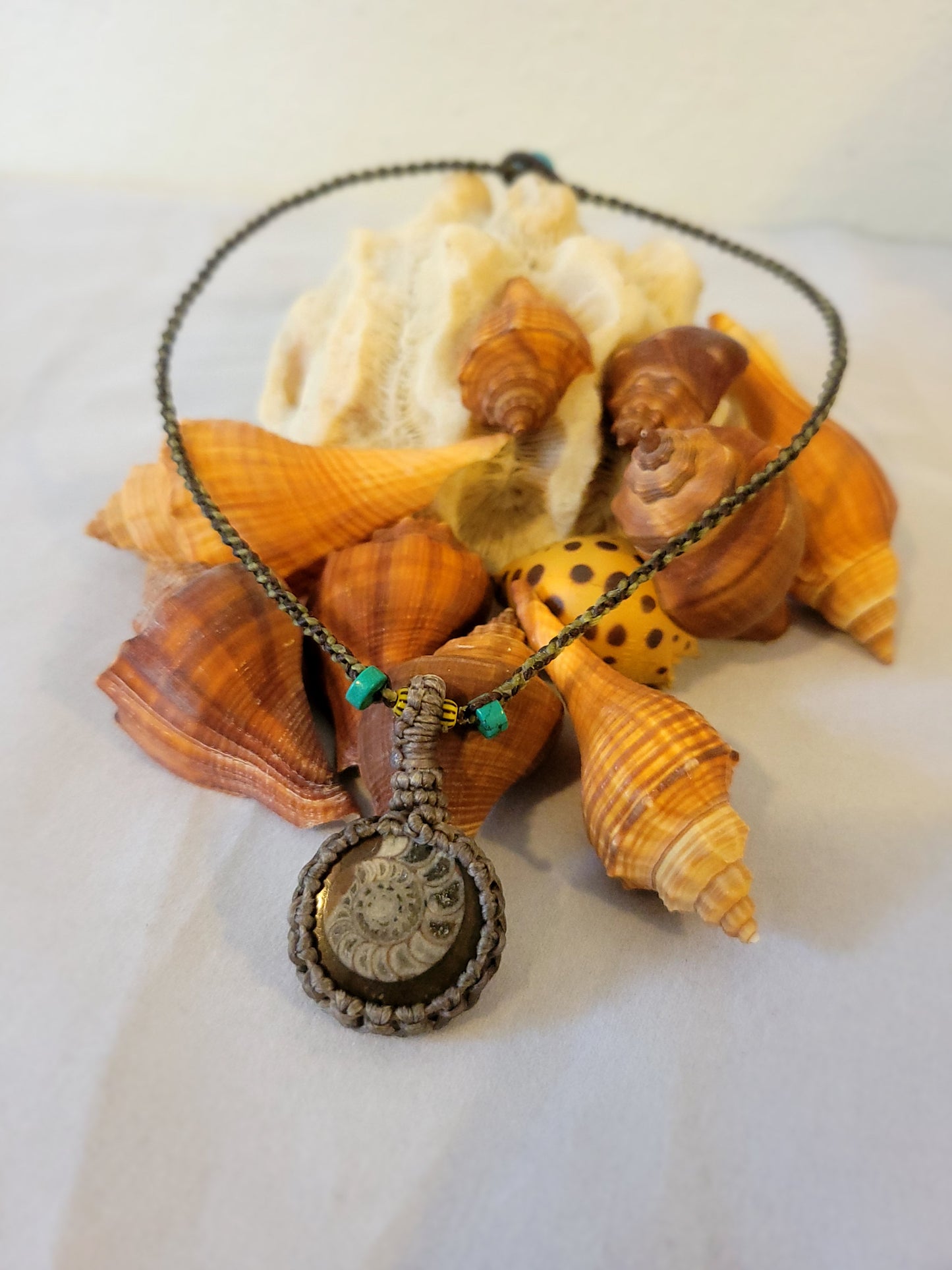 Ancient Echoes: Fossil Ammonite Pendant Necklace
