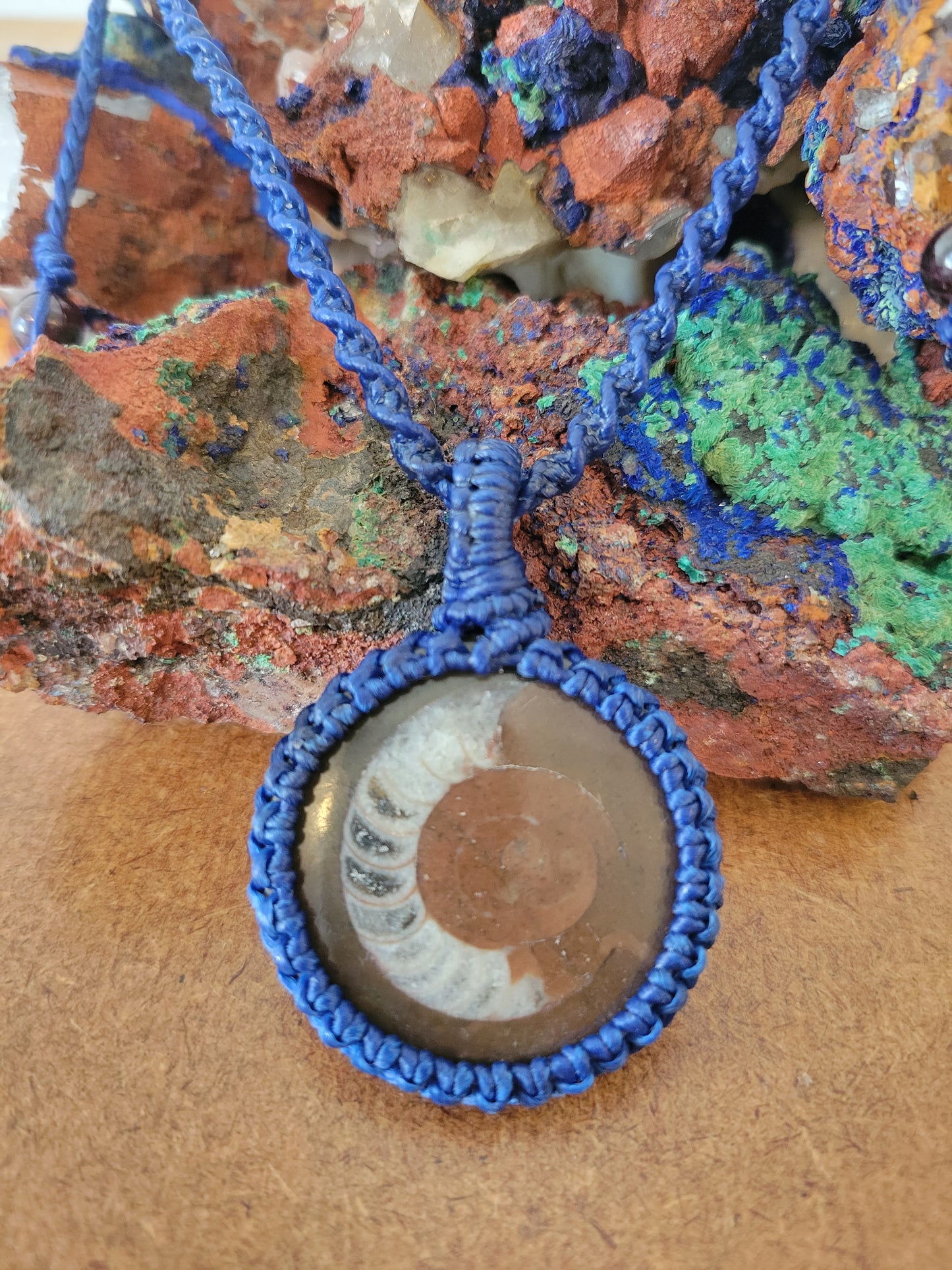 Ammonite Fossil Necklace