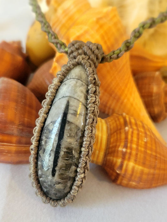 Orthoceras fossil Neckalce