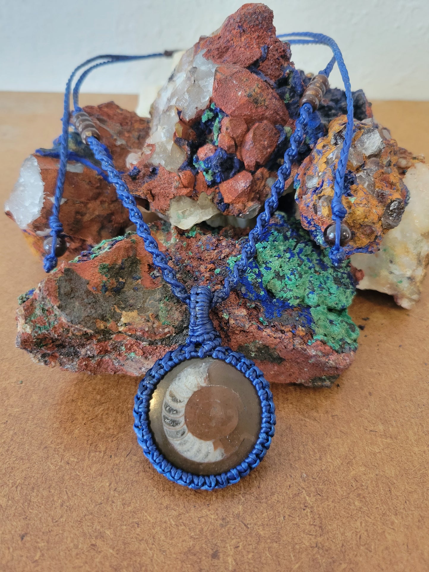 Partially Exposed Fossil Ammonite in Polished Brown Stone Matrix
