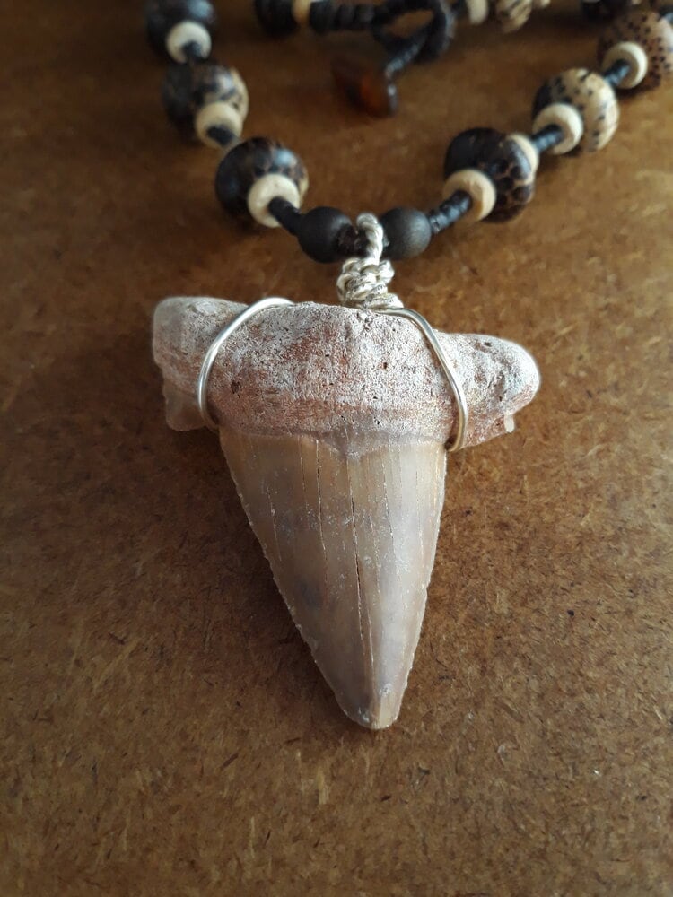 “Guardian of the Deep” – Fossilized Shark Tooth Necklace with Palm Wood Beads, 70 cm (27.5 in), Ethically Sourced for Ocean Conservation